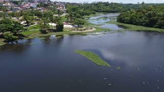 Parque Metropolitano de Pituaçu Salvador  Bahia [upl. by Anuait297]