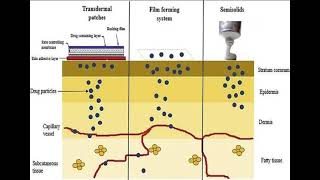 LEC 3 Target Sites in Topical and Transdermal Drug Delivery شرح بالعربي [upl. by Eeraj]