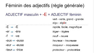 Les adjectifs – introduction  genre fémininmasculin – nombre plurielsingulier [upl. by Rivers]