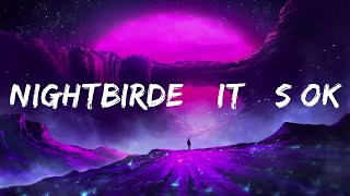 Nightbirde – It’s Okay Lyrics  Lyrics Rhythm [upl. by Ydoj32]