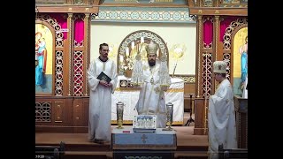 Divine Liturgy Sunday May 3 2020– Bishop Milan Lach SJ [upl. by Chris774]