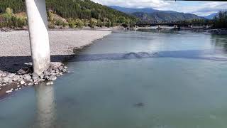 Droney4 checking out the Skeena River bridges amp salmon fisher people in Terrace British Columbia [upl. by Magee484]