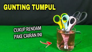 CARA MENAJAMKAN GUNTING TUMPUL JADI SETAJAM SILET [upl. by Padriac373]