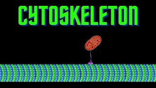 USMLE Step 1  Lesson 20  Elements of the Cytoskeleton [upl. by Irep]