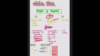 Vasopressin ReceptorsADH Receptorspart2 physiology shorts viralvideo medico neetpg fmge [upl. by Einej]