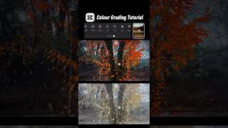 How to Capcut Colour Grading Tutorial 🌨️ capcut shorts [upl. by Sulihpoeht879]