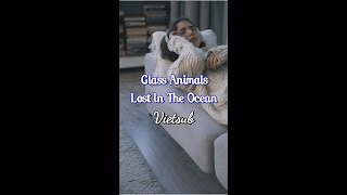 Glass Animals  Lost In The Ocean Vietsub [upl. by Kindig793]