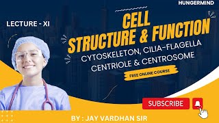 CYTOSKELETON CILIA FLAGELLA CENTRIOLE CENTROSOME hungermind [upl. by Garth]