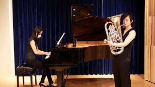 Euphonium Concerto 1st mov J Horovitz [upl. by Gale]