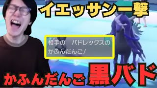 【ビエラ切り抜き】想定していなかった”かふんだんご”を使う黒バドレックスにぐちゃぐちゃにされるビエラ【ポケモンSV】 [upl. by Damek962]