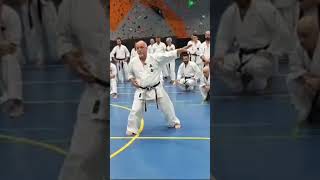 KARATE MAKOTOKAI  Allenare la difesa mantenendo ASSE e CENTRO artimarziali karate [upl. by Eecal783]