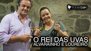 O Rei das uvas “Alvarinho e Loureiro”  Portugal  Por ai com Gabi  Ep7 [upl. by Anirda]