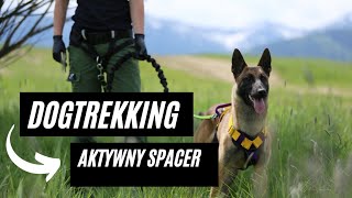 DOGTREKKING  SPACER Z PSEM PO NASZEMU [upl. by Rutter581]