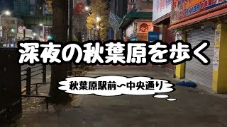 【アキバ散歩】深夜の秋葉原を歩く2024年【終電後の駅前〜中央通り】 [upl. by Menis]