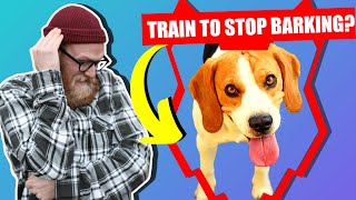 How To Stop Your BEAGLE Barking [upl. by Nekal]