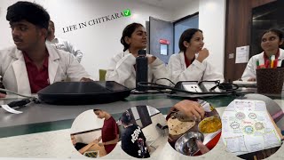 OUR daily life in Chitkara University Vlog 30 [upl. by Eohce]