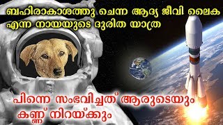 ബഹിരാകാശത്തു എത്തിയ ആദ്യ ജീവനുള്ള വസ്തു ലൈക എന്ന നായ  The Sad Story Of Laikha First Dog In Space [upl. by Asenad893]