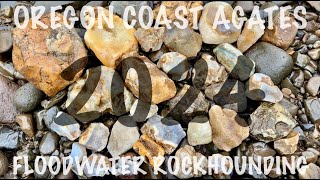 2024  Floodwater Rockhounding  Oregon Coast Range  Ep 01 OregonCoastAgates [upl. by Alekim]