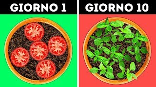 23 IDEE GENIALI PER IL TUO GIARDINO [upl. by Hilaire]