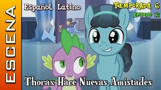 MLP FiM  Escena Temporada 6 Ep 16  Thorax hace nuevas Amistades Español Latino [upl. by Shela66]