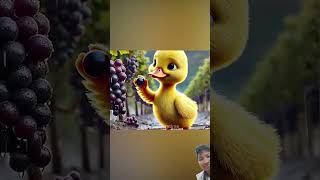 birds bebek animals duck lucu cute [upl. by Jacquenette]