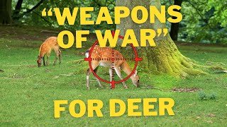 quotWeapons Of Warquot To Be Used For Deer Cull  A Lawyer Explains [upl. by Dyan]