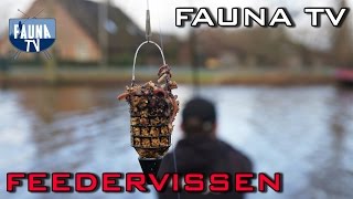 Fauna TV  Feedervissen [upl. by Yeh]