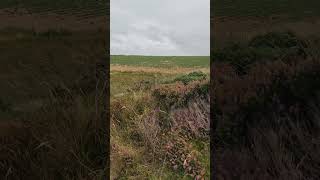 View at Gullyn Rock near Porthtowan Cornwall [upl. by Ainoz]