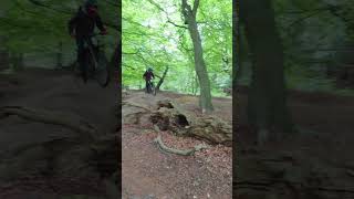 SURRONS VS MTB TRAILS surron ebike jumps [upl. by Duile]