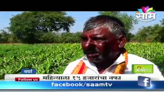 Success story of mixed flower farming by Ramesh Ghode [upl. by Ardy798]