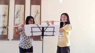 The Hobbit Medley  Flute Duet [upl. by Ainegul]