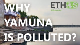 The River YamunaA Short Documentary [upl. by Ammann]