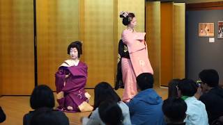 Geisha Dance Maiko and Geiko in Gion Kyoro [upl. by Hervey]