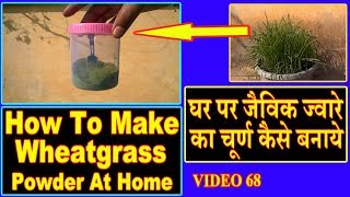 A Much Faster Way to Get DrBergs Wheatgrass Juice Powder [upl. by Jara567]