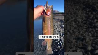 Catch and Cook Trout over Swedish log fire catchandcook outdoors cookingoutdoors outdoorcooking [upl. by Casmey]