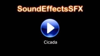 Cicada Sound effect [upl. by Englis]