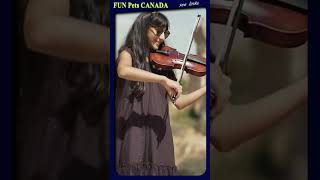 Shawn Mendes Camila Cabello 30 🎻SEÑORITA [upl. by Nedak]