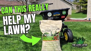 Can Gypsum Really Help My Lawn diylawncare [upl. by Rist37]