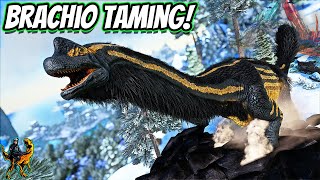 TAMING THE LEGENDARY GIGA KILLER THE BRACHIOSAURUS  Ark Modded Ep 25 [upl. by Corb]