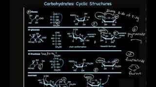 Cyclic Carbohydrate Structures Furanose and Pyranose Sugars [upl. by Cheyne798]