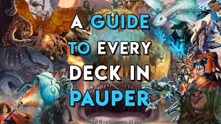 A Guide To Every Deck In Pauper [upl. by Mast787]