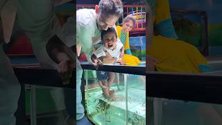 NR Fish Spa 💚Besant Nagar beach🩵and Kovilambakkam 9952085544 youtubeshorts baby cute fish fun [upl. by Pickard]