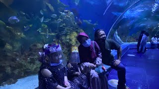 Fakieh Aquarium Jeddah Saudi Arabia [upl. by Soluk]