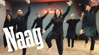 Naag  Jazzy b  The Naag jam  Bhangra  Easy Bhangra Choreography The Dance Mafia bhangra naag [upl. by Maurili]