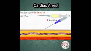 ADRENALINE Epinephrine DOSE in CARDIAC ARREST pediatrics medicine epinephrine [upl. by Chaker]