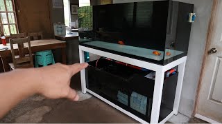 BEST AROWANA TANK SETUP [upl. by Lyram]