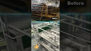 chicken egg farm renovation layer hen poultry equipment  RETECH Farming [upl. by Christan46]