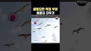 포토샵 특정부분 지우기  사람지우기 및 글씨 로고 지우기 amp 배경 지우기 [upl. by Sakiv255]