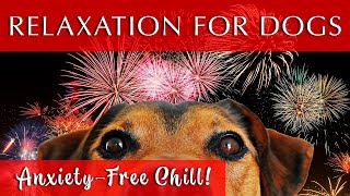 Relaxing Music for Dogs to Calm Down  GREAT FOR FIREWORKS [upl. by Palm]