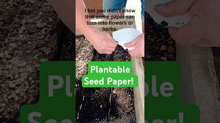 Plantable Seed Paper Products [upl. by Kristopher]